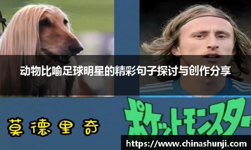 动物比喻足球明星的精彩句子探讨与创作分享